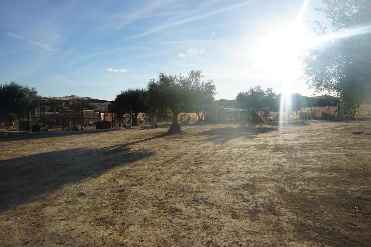 Cuchi Farm Chinchón Exterior foto